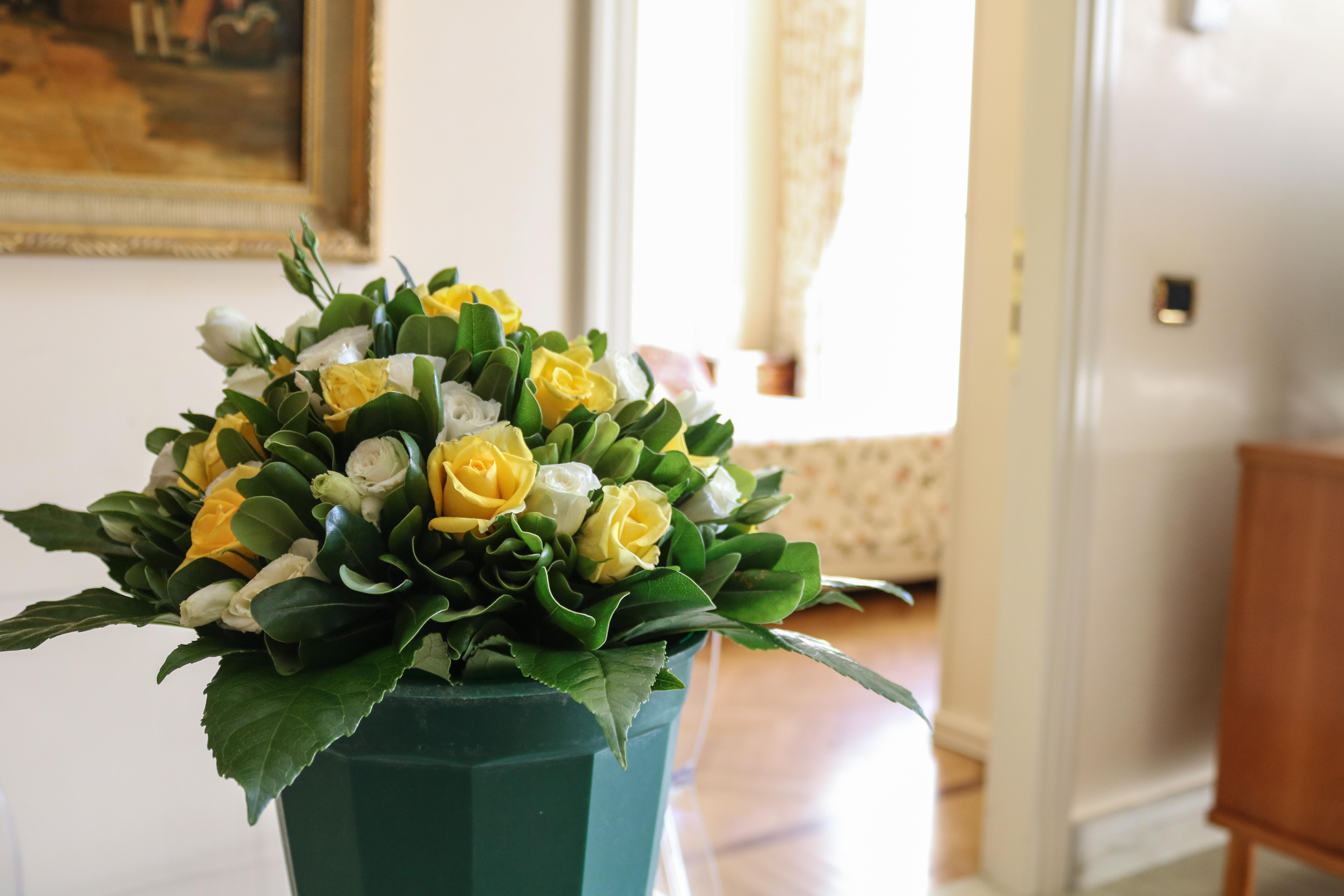 Bed and breakfast Residenza Ki 3*